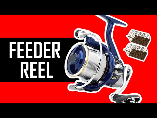 bedazled fish nets Bedazzled fishnet pants