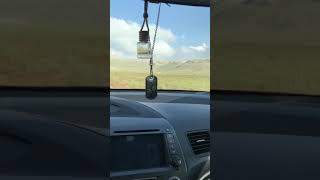 Dn 645 - Kim Ne Bilsin