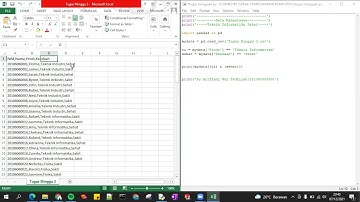 PROGRAM FILTER DATA EXCEL MENGGUNAKAN PYTHON