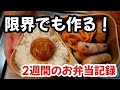 作ったり作らなかったり…しんどい日が多かった、2週間のお弁当記録!!