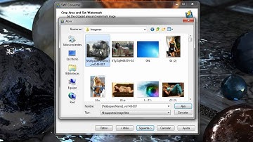 Como convertir un SWF a formato AVI