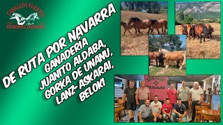 🐎🏔️De ruta por Navarra🏔️🐎  Ganadería Juanito Aldaba, Gorka de Unanu, Lanz-Askarai, Beloki