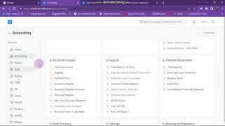 12 Accounts Payable report ERPNext