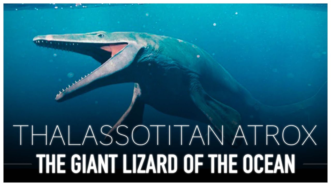 This GIANT Prehistoric Sea Lizard Dominated The Oceans Dinosaur This GIANT Prehistoric Sea Lizard Dominated The Oceans Dinosaur