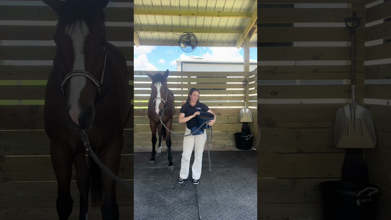 If you feed your horse less than how many kg of complete feed daily are their vit & min needs unmet?