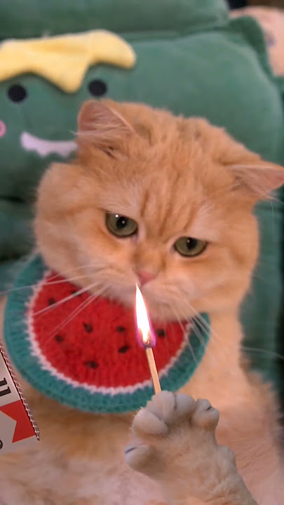 Just a popcorn stick for you? So stingy!