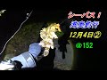 【シーバス 湾奥釣行 12月4日➁ @152 】