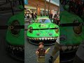 T-Rex Saga Pt 5