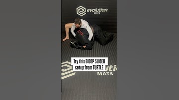 Bicep Slicer From Turtle