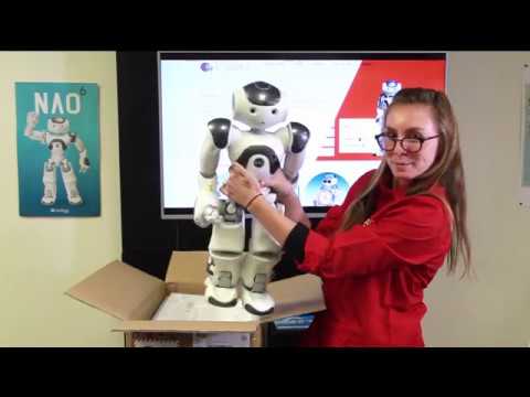 Programmable Humanoïd Robot NAO V6