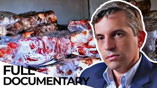 The Food Mafia  How Criminals Infiltrate the Global Food Supply Chain | ENDEVR Documentary