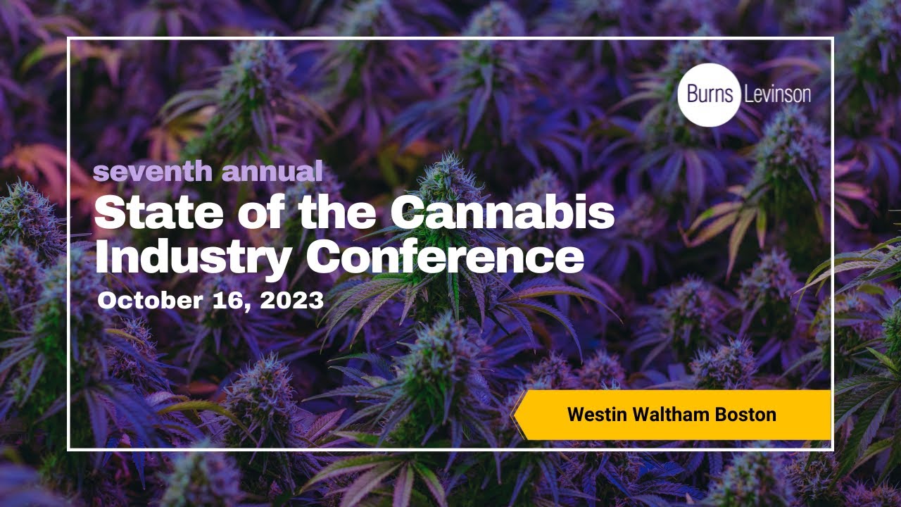 Wading through the Weeds Navigating Cannabis Branding Issues