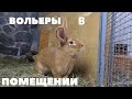 Вольерное содержание зимой кроликов в закрытых вольерах/Мясные породы