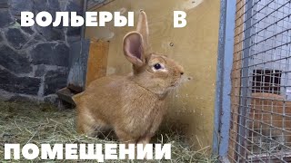 Вольерное содержание зимой кроликов в закрытых вольерах/Мясные породы