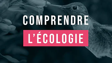 Quelle est l'importance de l'écologie ?