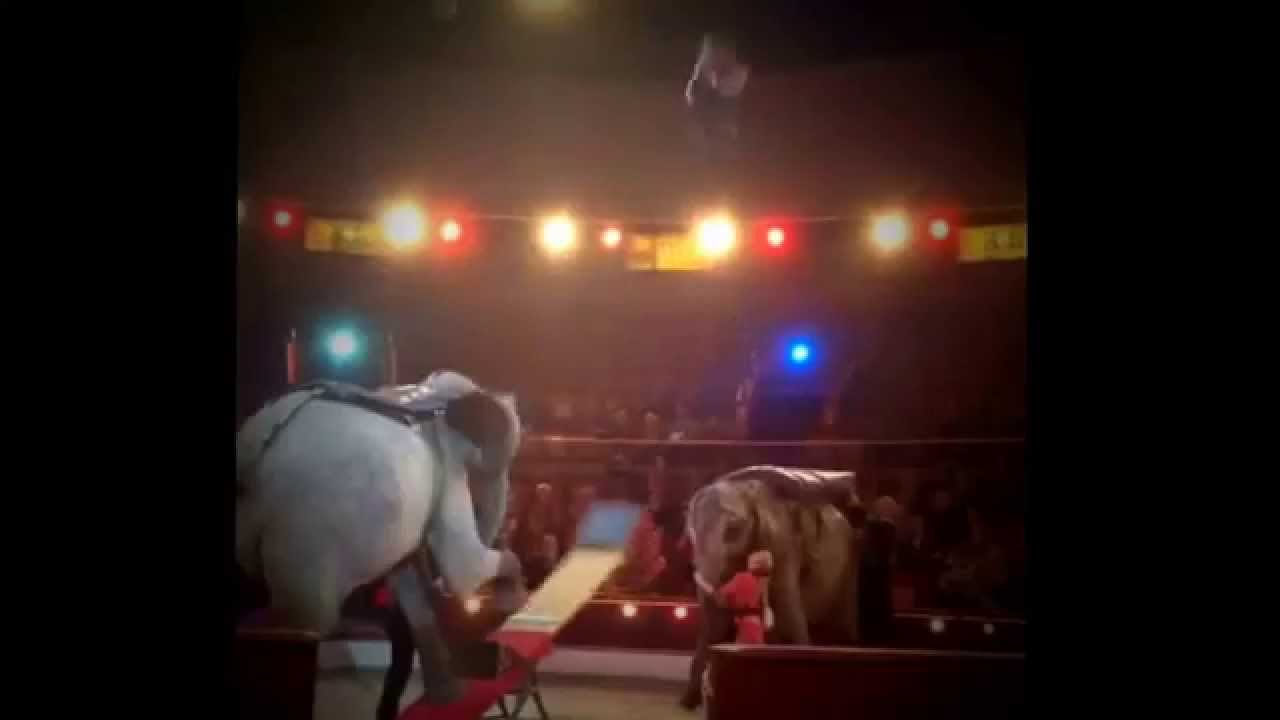 Rene Casselly , Quadruple salto