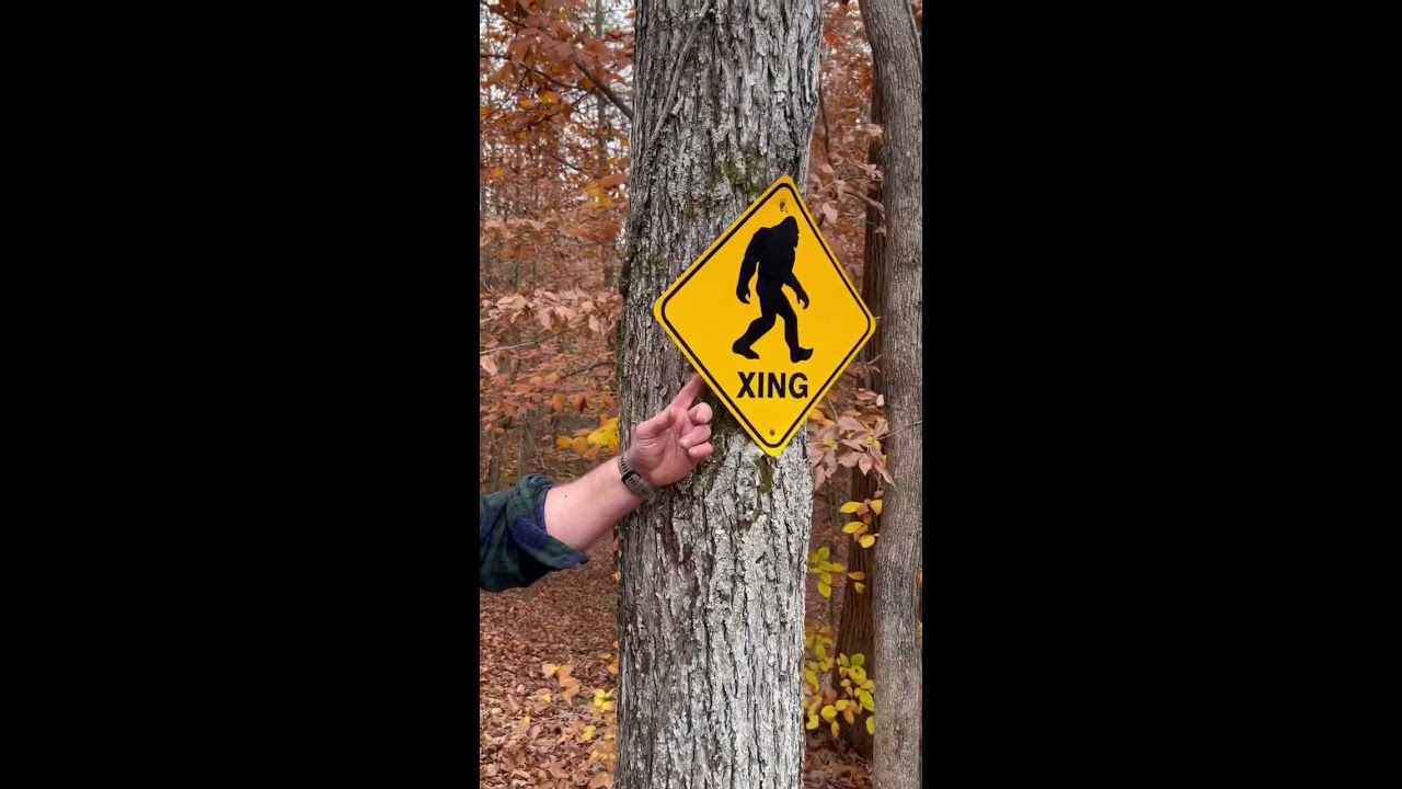 BIGFOOT Do You Believe 