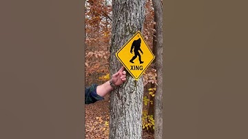 Thumbnail of BIGFOOT: Do You Believe?