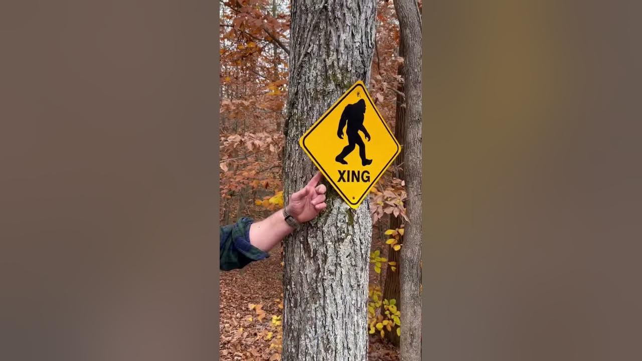 BIGFOOT: Do You Believe?