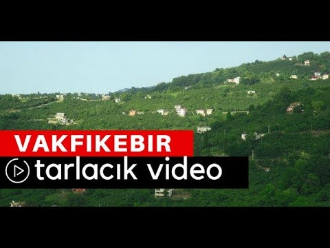 Vakfıkebir Tarlacık Köyü