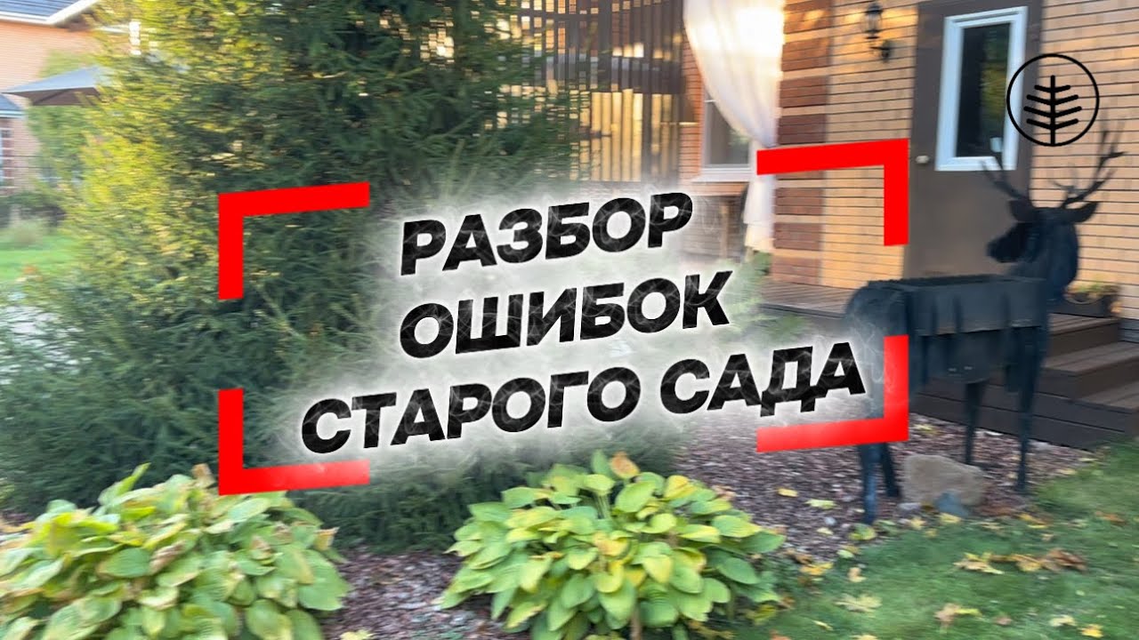🌲🍂 РАЗБОР ОШИБОК СТАРОГО САДА.