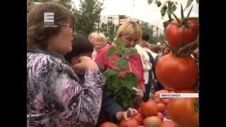 видео:  картинка: