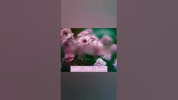 تلاوة مذهلة بصوت شجي وندي💚 //معاذ العيد//قرآن كريم//حالات واتس اب