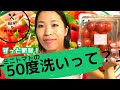 【家事テク】ミニトマト救済方法！50度洗いでいつでも新鮮な野菜が食べられる方法【裏技】