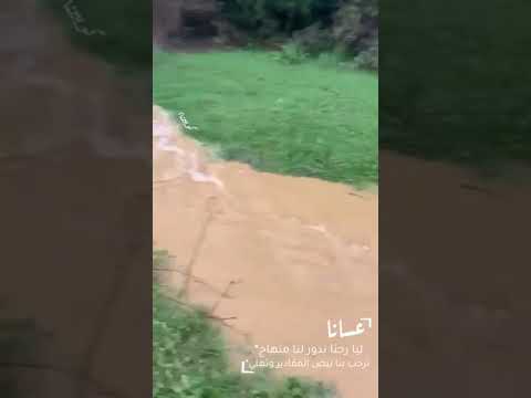 عسانا ليا رحنا ندور لنا منهاج ترحب بنا بيض المقادير وتهلي