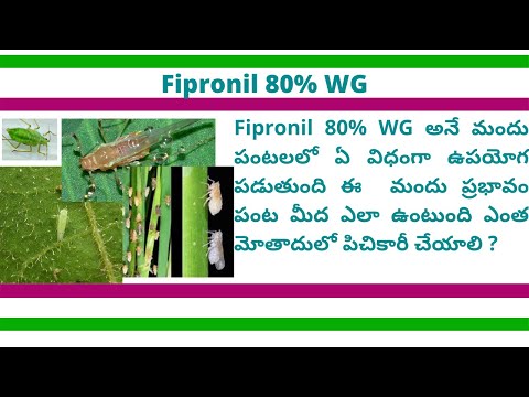 Fipronil 80% WG Insecticide | Fipronil 5% SC