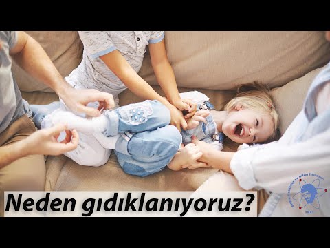 Video: Neden Gıdıklanıyorlar