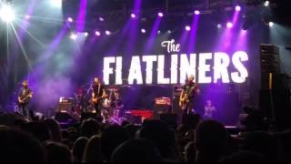 Live In Rimouski - Freds got Slacks - The Flatliners