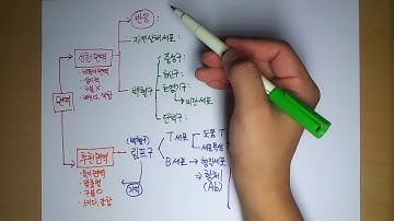 해부생리학 7-2 면역2 by learning mate