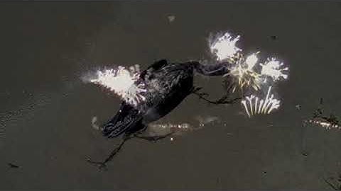 3rd Law Crew - 3 Computers for Paper