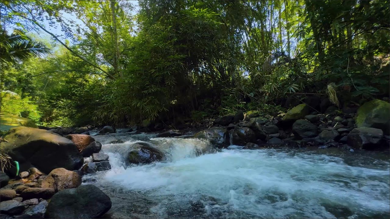 Green Stream Flow and Tranquil Nature Ambience for Deep Sleep, Study, Meditation and Inner Peace