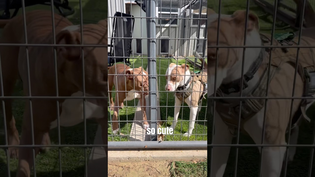 Step 1: flirting safely 🤠 