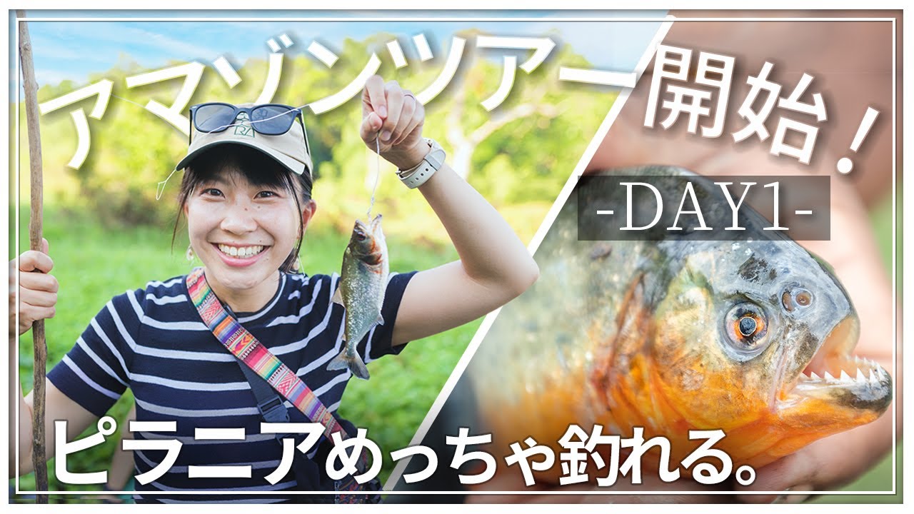初日から本気のピラニア釣り マナウスアマゾンツアー ブラジル旅行vlog Youtube