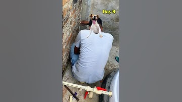 The Cutest Dog Day Vlog!