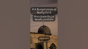 سورة الأنفال الآية ٦١ الى ٦٣ بصوت الشيخ محمد صديق المنشاوي