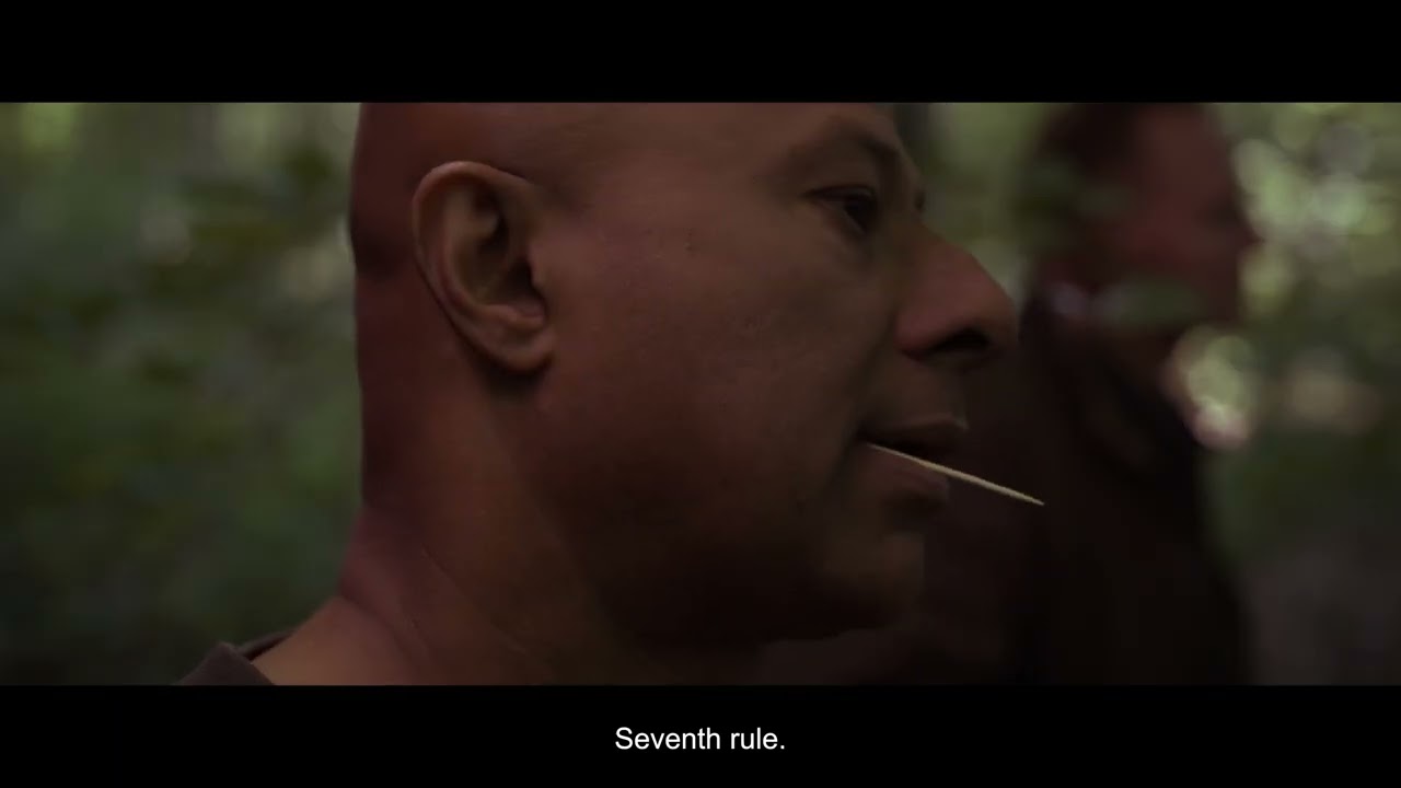 8 rules of digital forest inventory