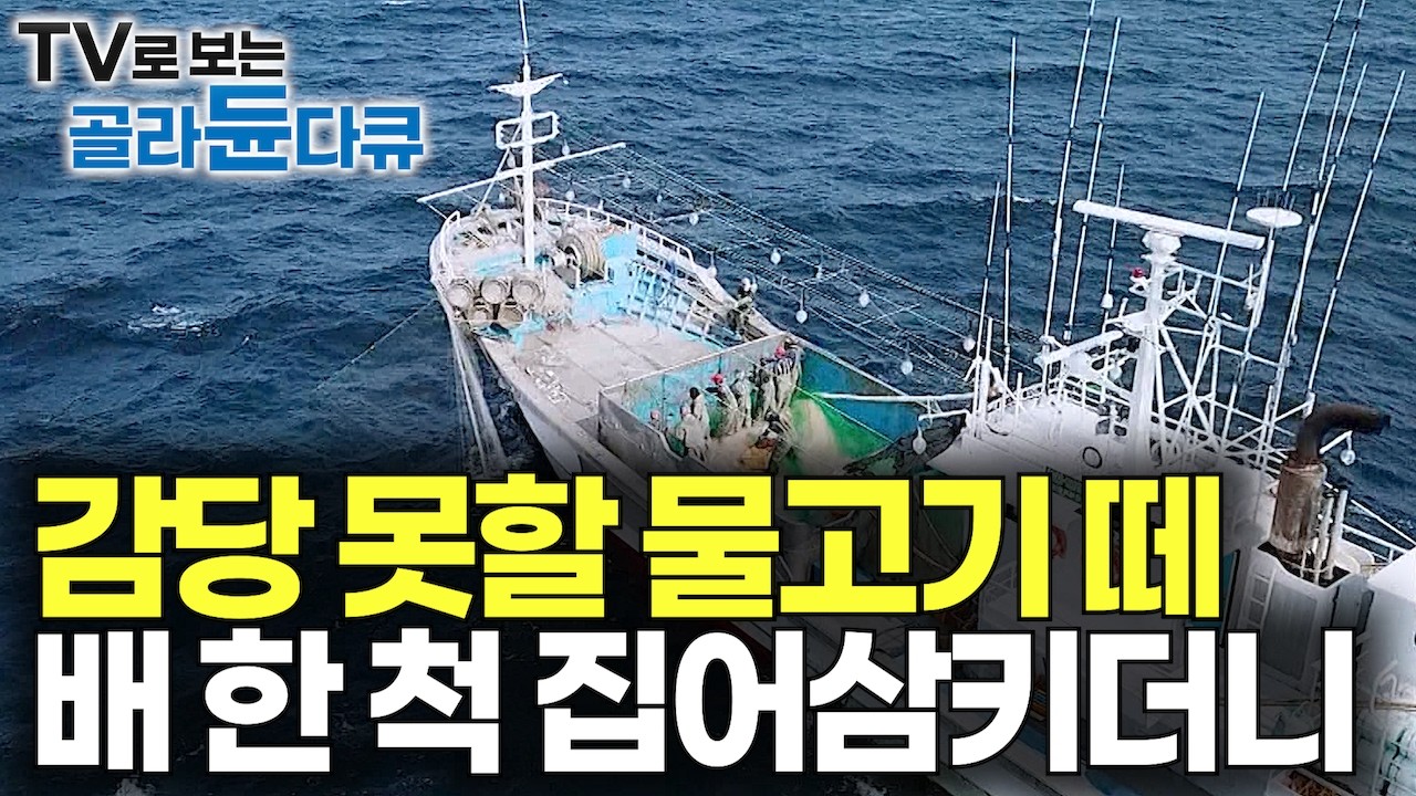 큰 사이즈면 무려 4억 갑판으로 돈이 쏟아지는 데 다 잡아올릴 엄두가 나지 않는다｜감당 못할 엄청난 물고기 떼 조업 중단 사태까지｜고깃배 40년 처음보는 대박｜극한직업｜#골라듄다큐