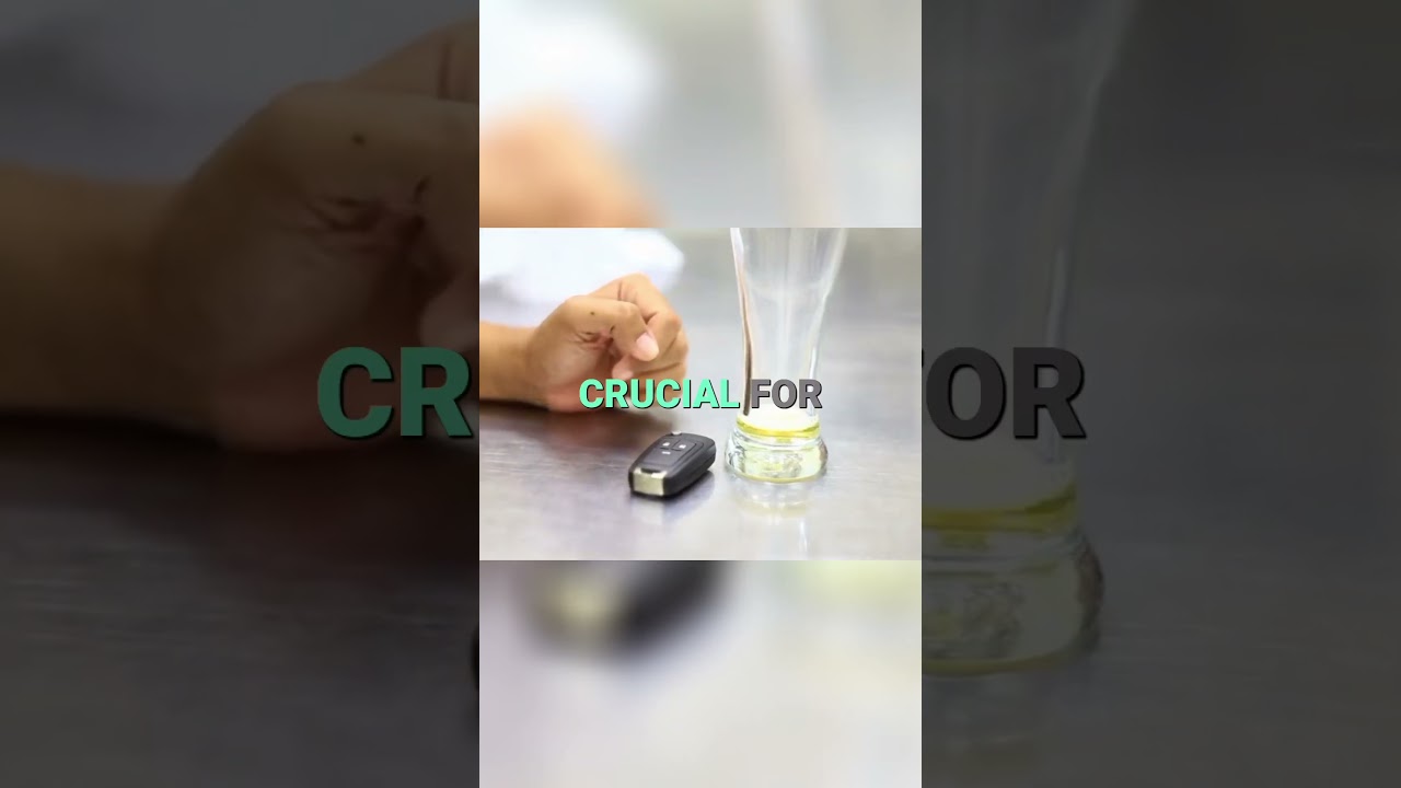 WATCH NOW! How Carbs help you stay alive 