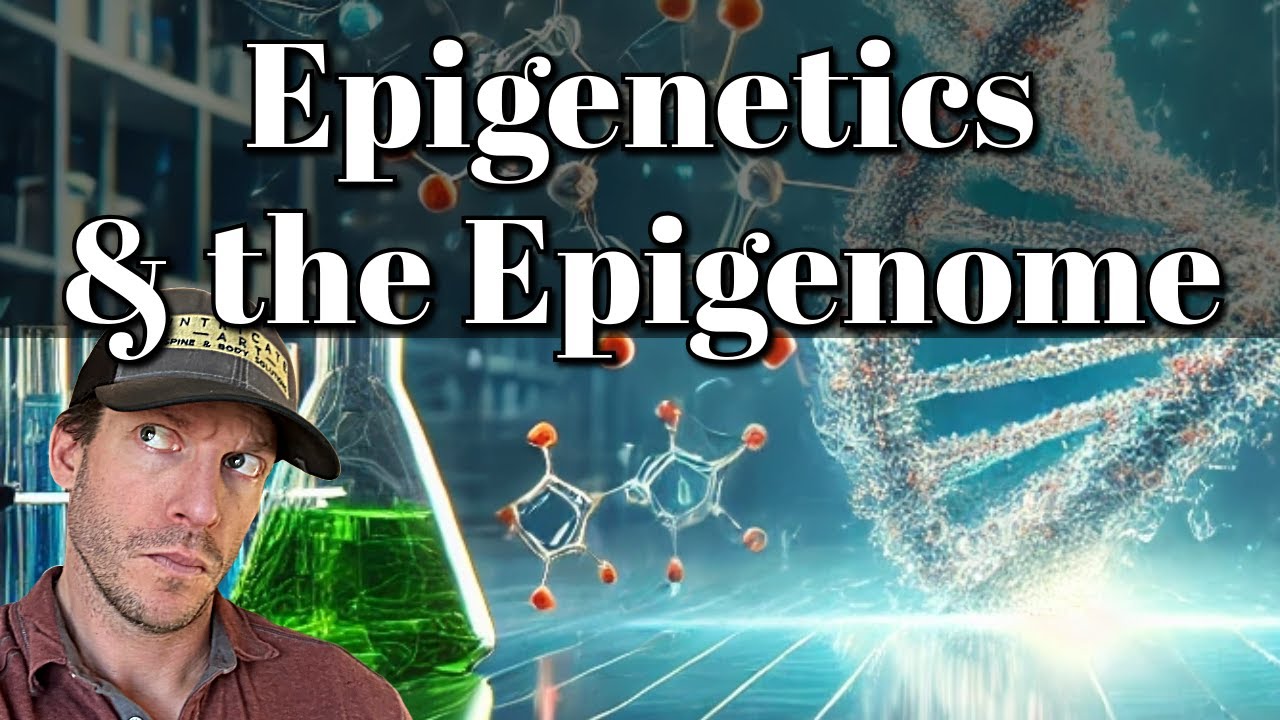 The Impact of Nutrition on Epigenetics & Health - YouTube