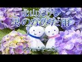 男のなみだ雨/北山たけし/Cover:やっくん