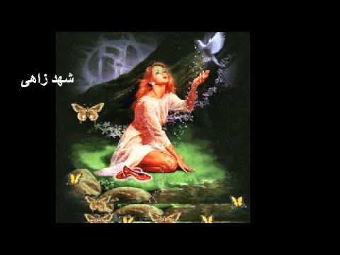 سيد خليفة ابنى عشك ياقمارى شهد زاهى