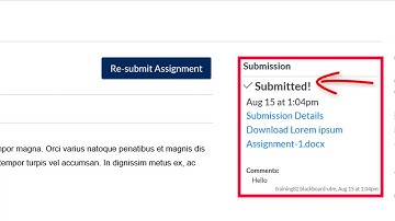 Submitting a Turnitin assignment to Quercus