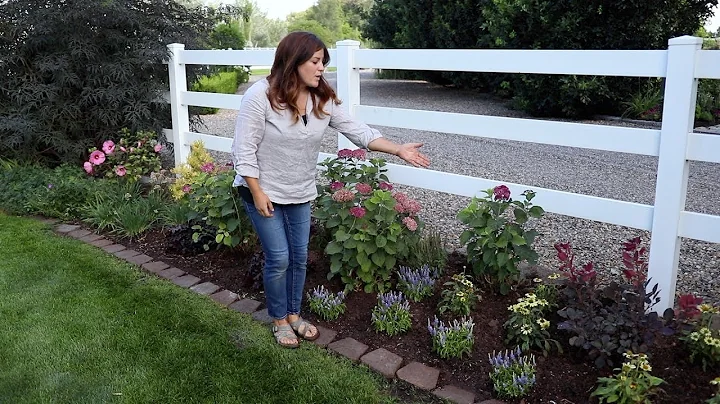 Designing a Narrow Flowerbed to Look Abundant 🌿💚🌿// Garden Answer - DayDayNews