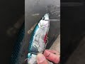 何か気づいてもコメント🆖