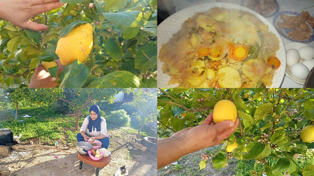 نهار الثالت فرمضان/ شاركت معاكوم العصير ديال الحامض طبيعي #البادية #طبخ #أجواء_الطبيعة #وصفات 