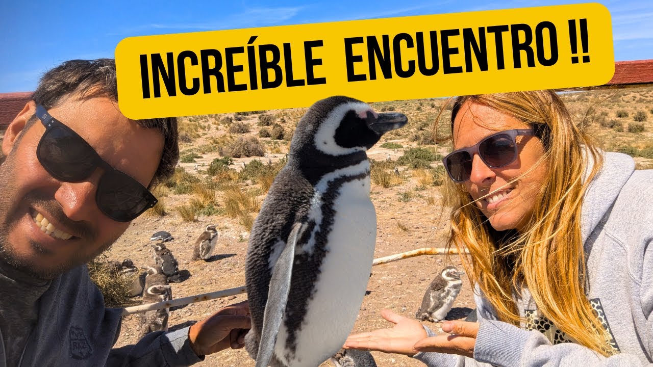 📍 De CAMARONES a COMODORO: Pingüinos, Playa y Ruta en MOTORHOME 🚐